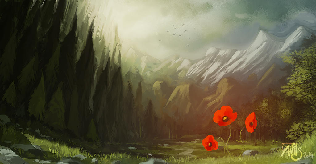 The poppy by Traaw The poppy by Traaw