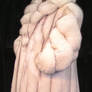 taylor in fur