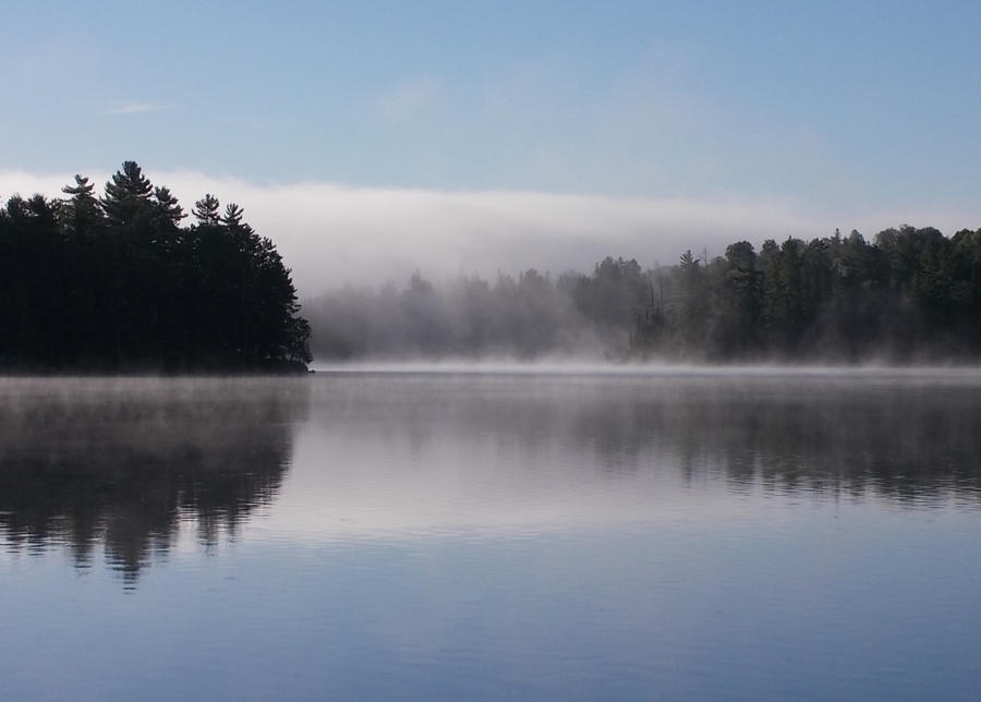 Morning Mist