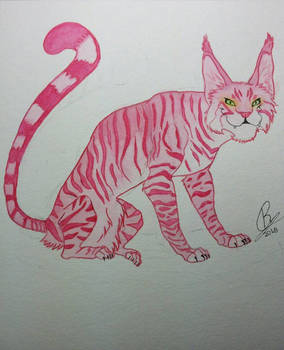 The Pink Cheshire Cat