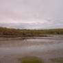 Maine Mudflats 1