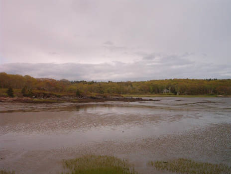 Maine Mudflats 1