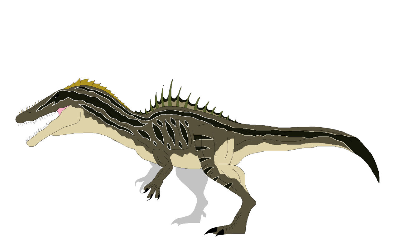 Sunyx Suchonyx by Memezilla25 on DeviantArt