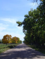 A Nebraska Side Road