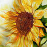 Sun flower