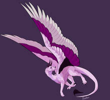 A bright Demisexual dragon