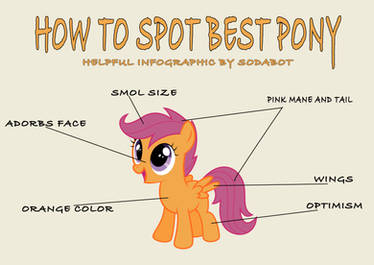 How To Spot Bestpony