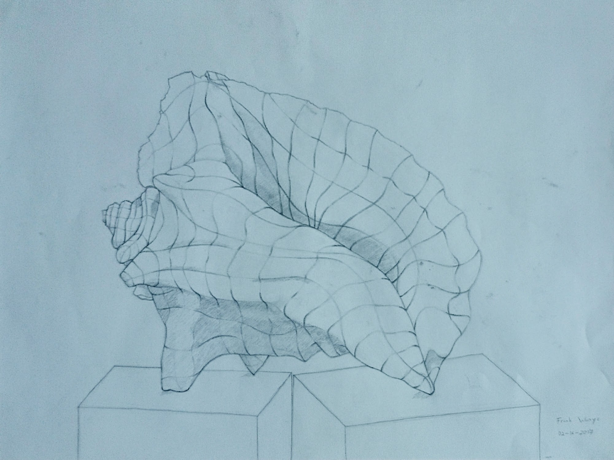 Contur Shell Cross Contour Shell by ffrankies on DeviantArt