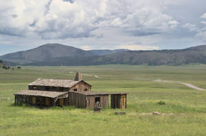 Abandoned Cabin