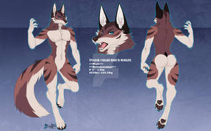 Tyger Ref Sheet (2000 to 2012)