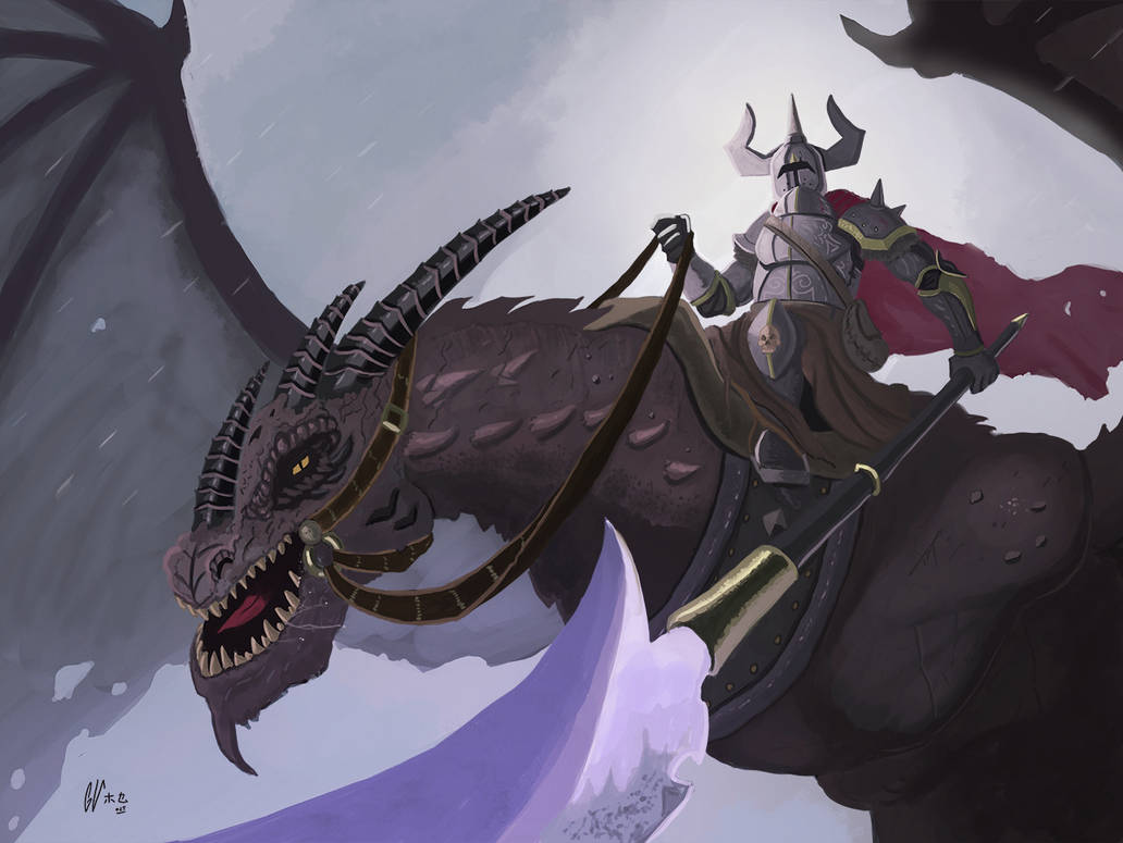Dragon rider by IcedEdge on DeviantArt