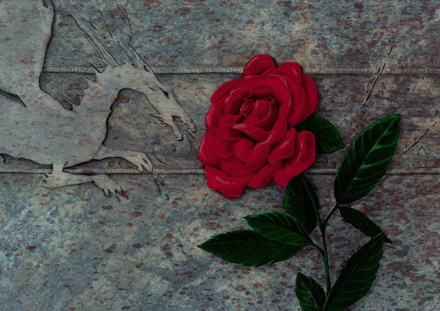Alistair's Rose