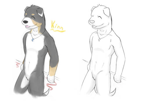 Kinn Fursona Request