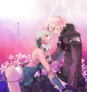 nier and kaine