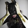 Batgirl Cosplay - New Cowl!
