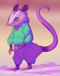 80s opossum