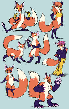 fox style exploration