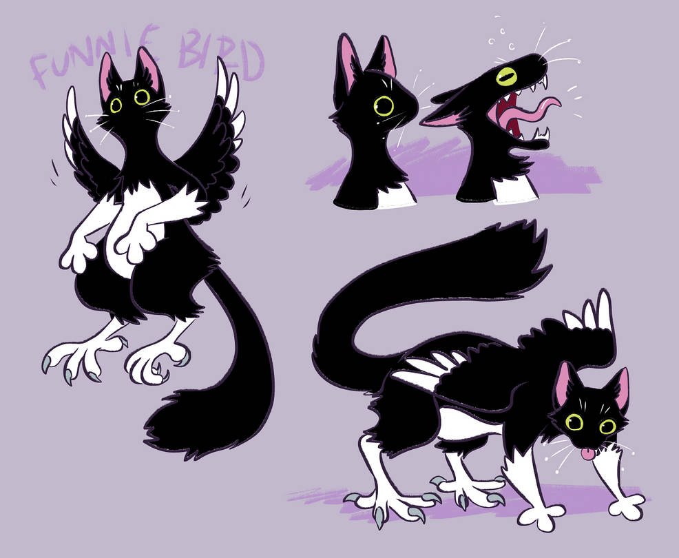 funnie bird by Spoonfayse on DeviantArt