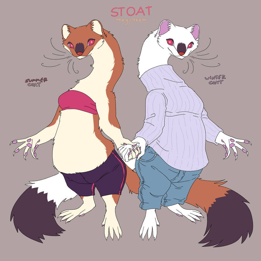 Stoat Voodoo stoat (anthro ref) by Spoonfayse on DeviantArt