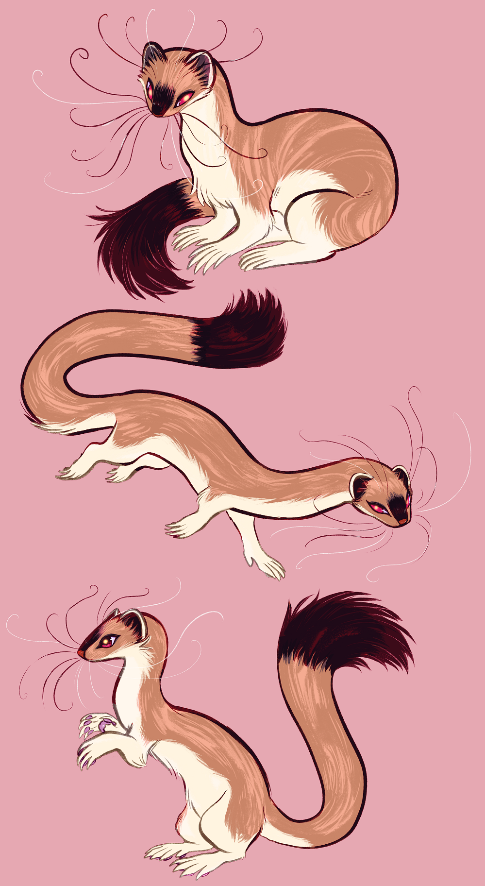 stoat (straight ahead edition)