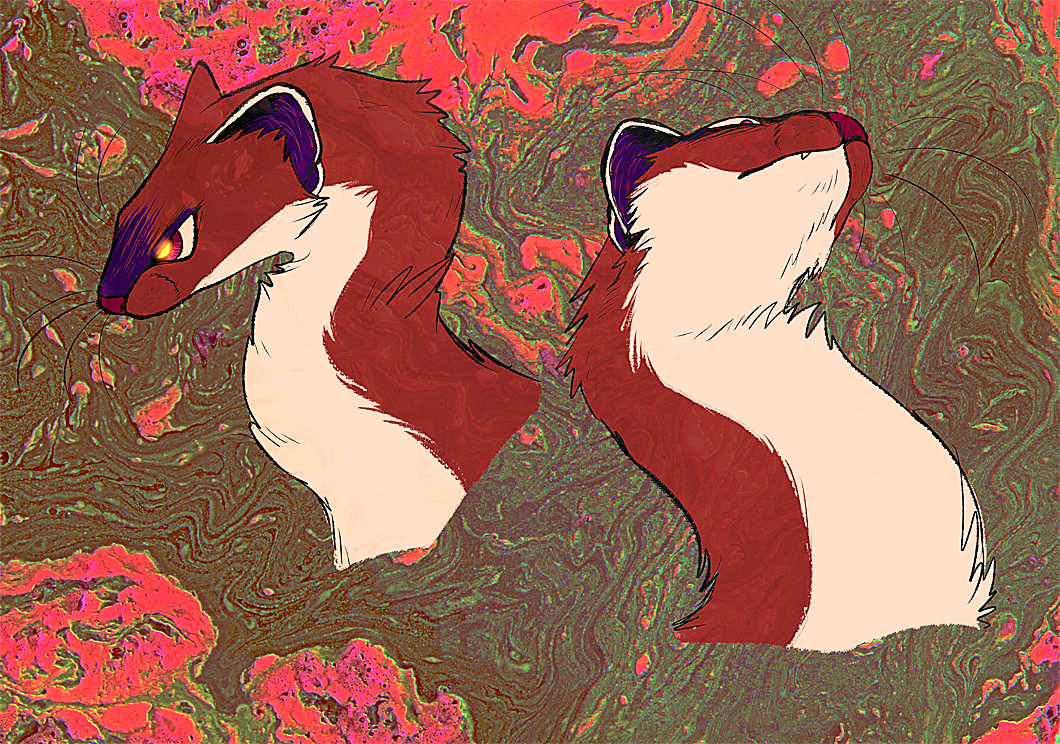 intense stoat heads by Spoonfayse on DeviantArt