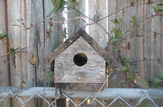 My Little Bird House