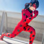 Miraculous Ladybug Cosplay