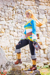 Zelda-Breath of the wild