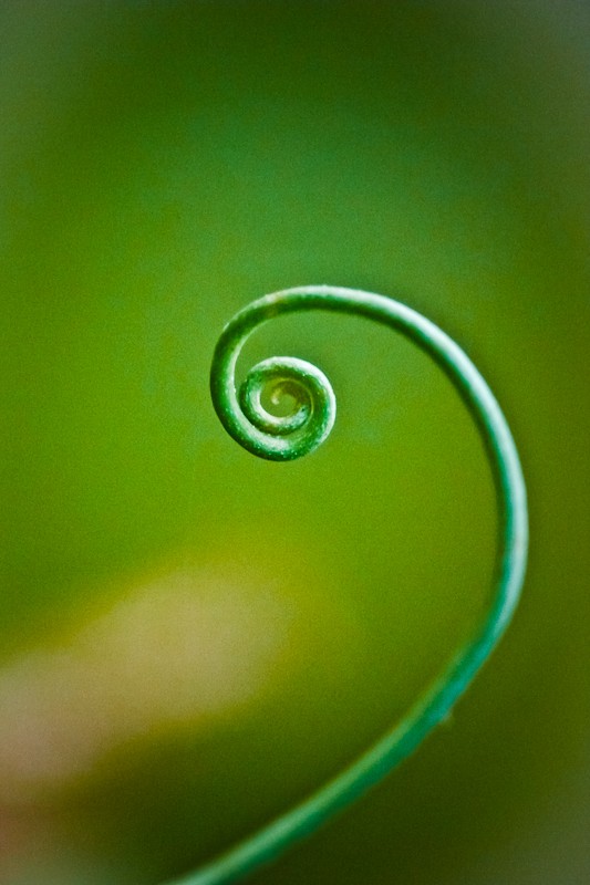 spiral