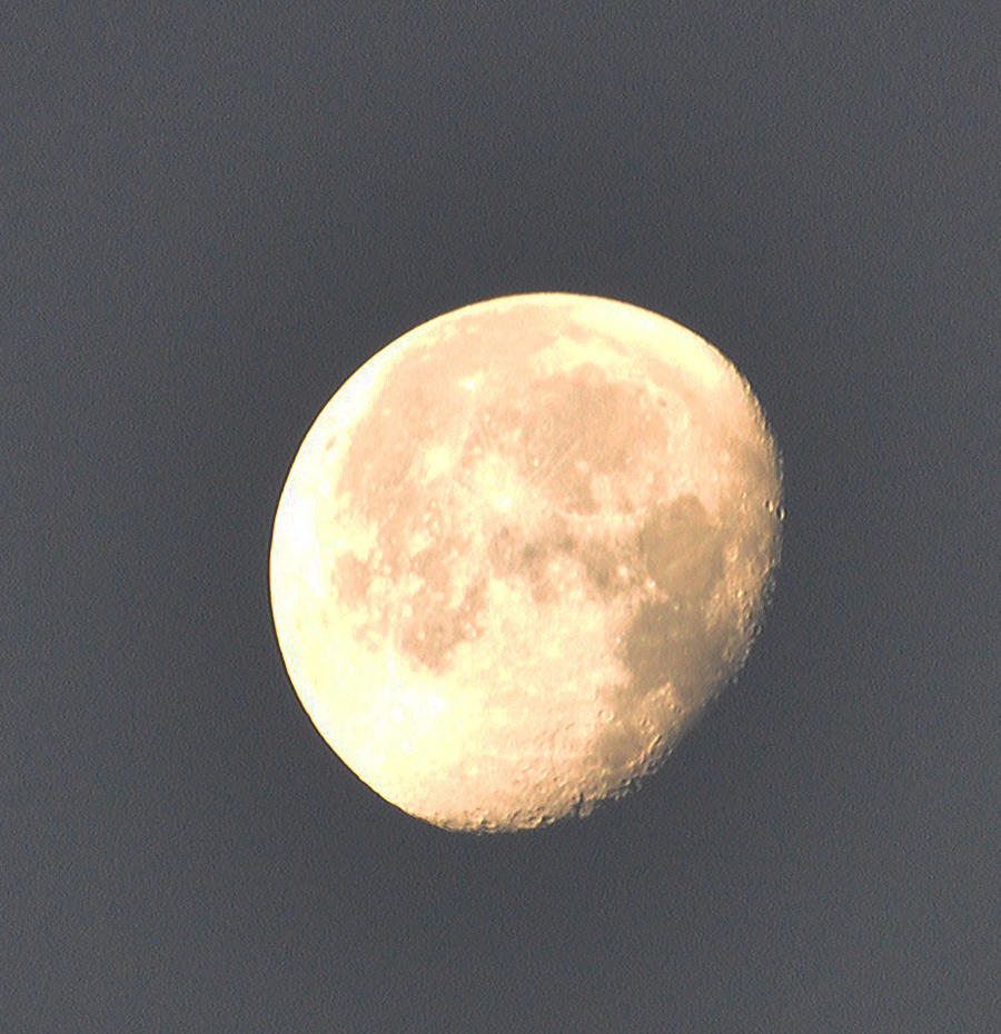 Morning Moon 12-24-10