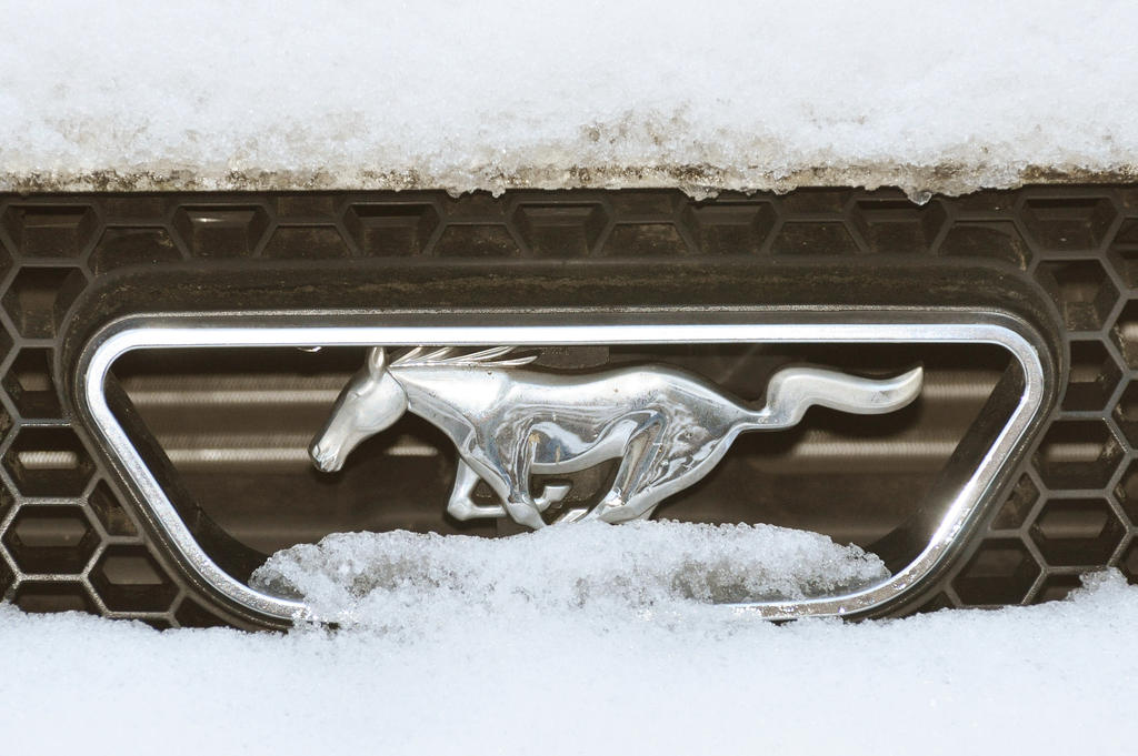 Snow on my Ford Mustang Grill