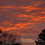 Morning Sky 2 2-21-12