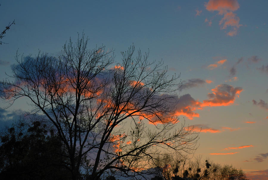 Morning Sky 3-17-12