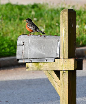 Mailbox Security