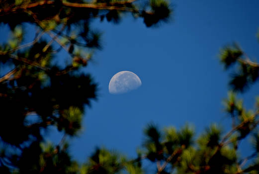 Monastery Moon