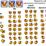 PMD: Flareon Sheet and Expressions