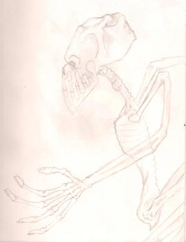 Alien Skeleton Thing