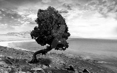 BotLord - Hobbyist, Digital Artist | DeviantArt