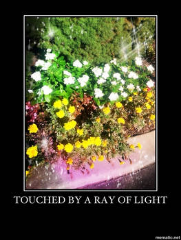 Touched by a Ray of Light