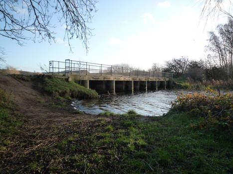 Bridge Over Placid Water