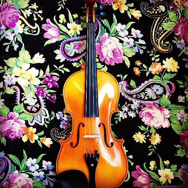 My violin