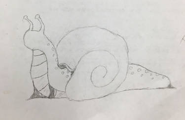 Snails are hecken rad