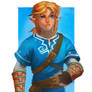 Zelda WiiU