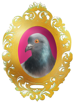 Pigeon custom shirt design