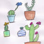Sketches 151 Watercolor cacti
