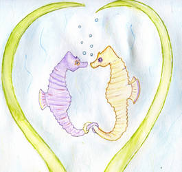 Seahorses holding tails