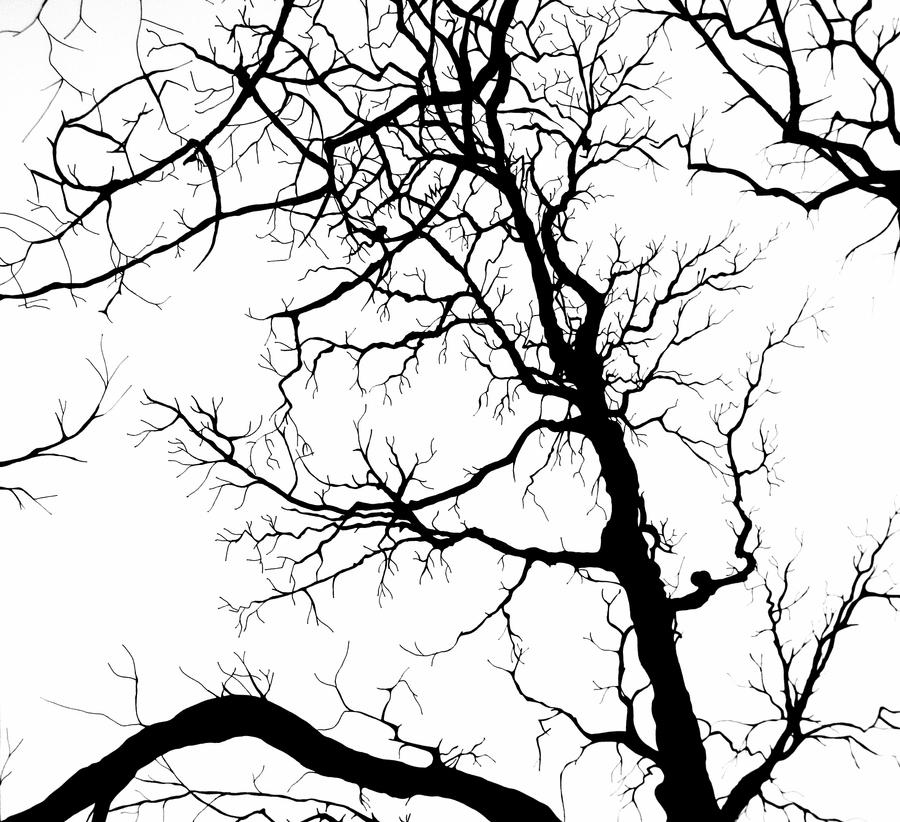 Oak Tree Silhouette