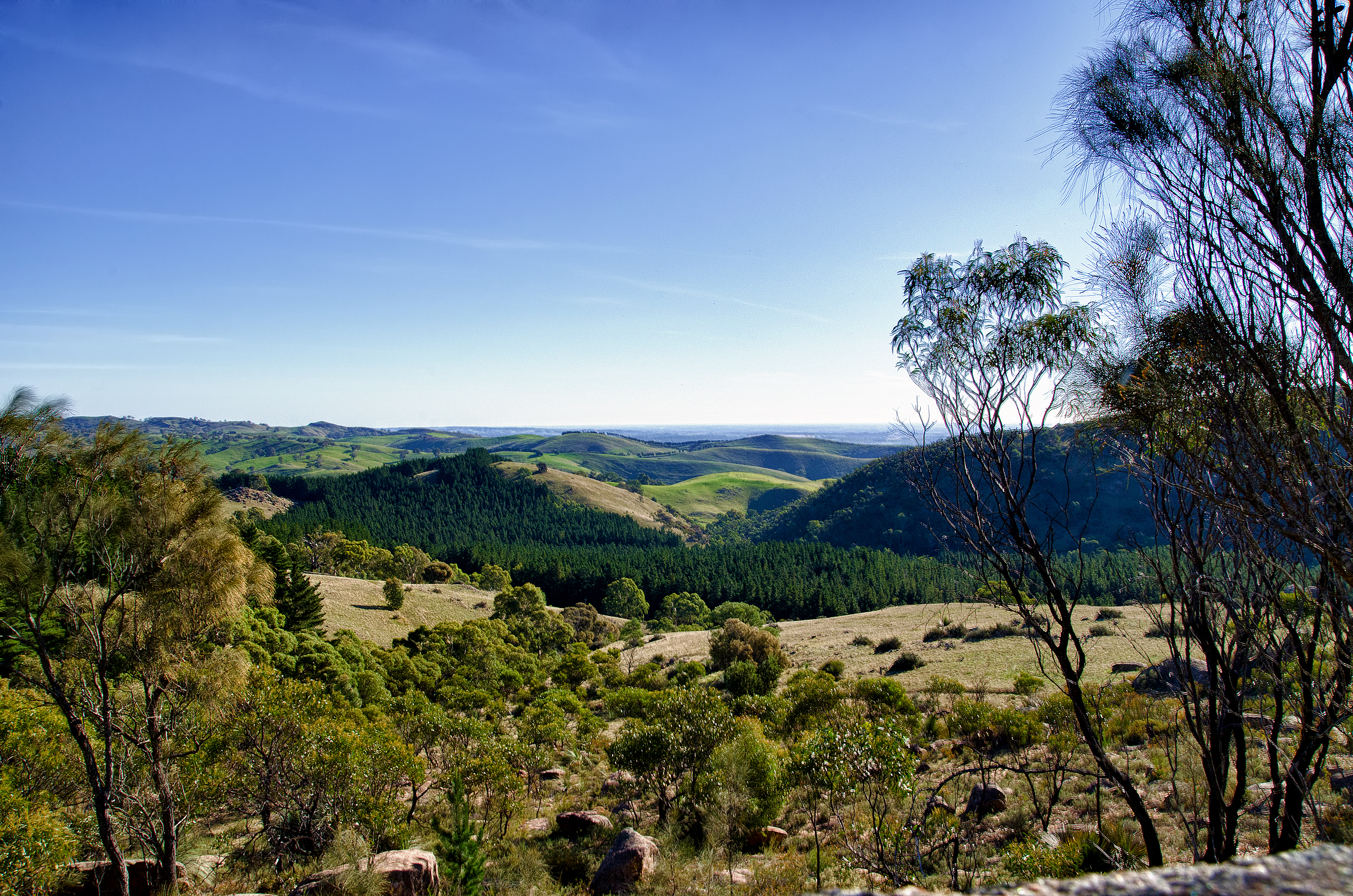 Edge of the Valley