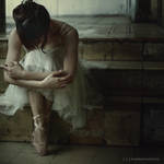 the lonely swan by illdispose