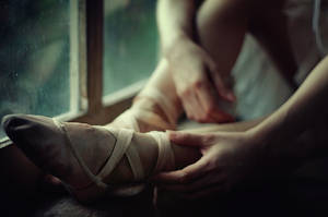 shall we........ by illdispose shall we........ by illdispose